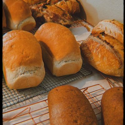 Italian Sandwich Bread 