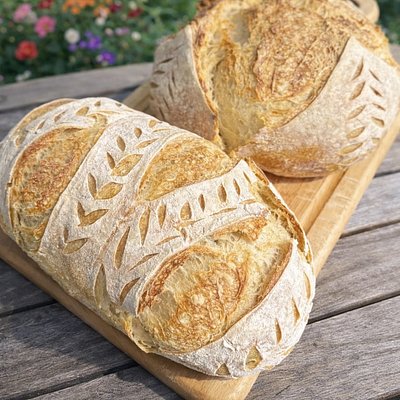 Classic Sourdough