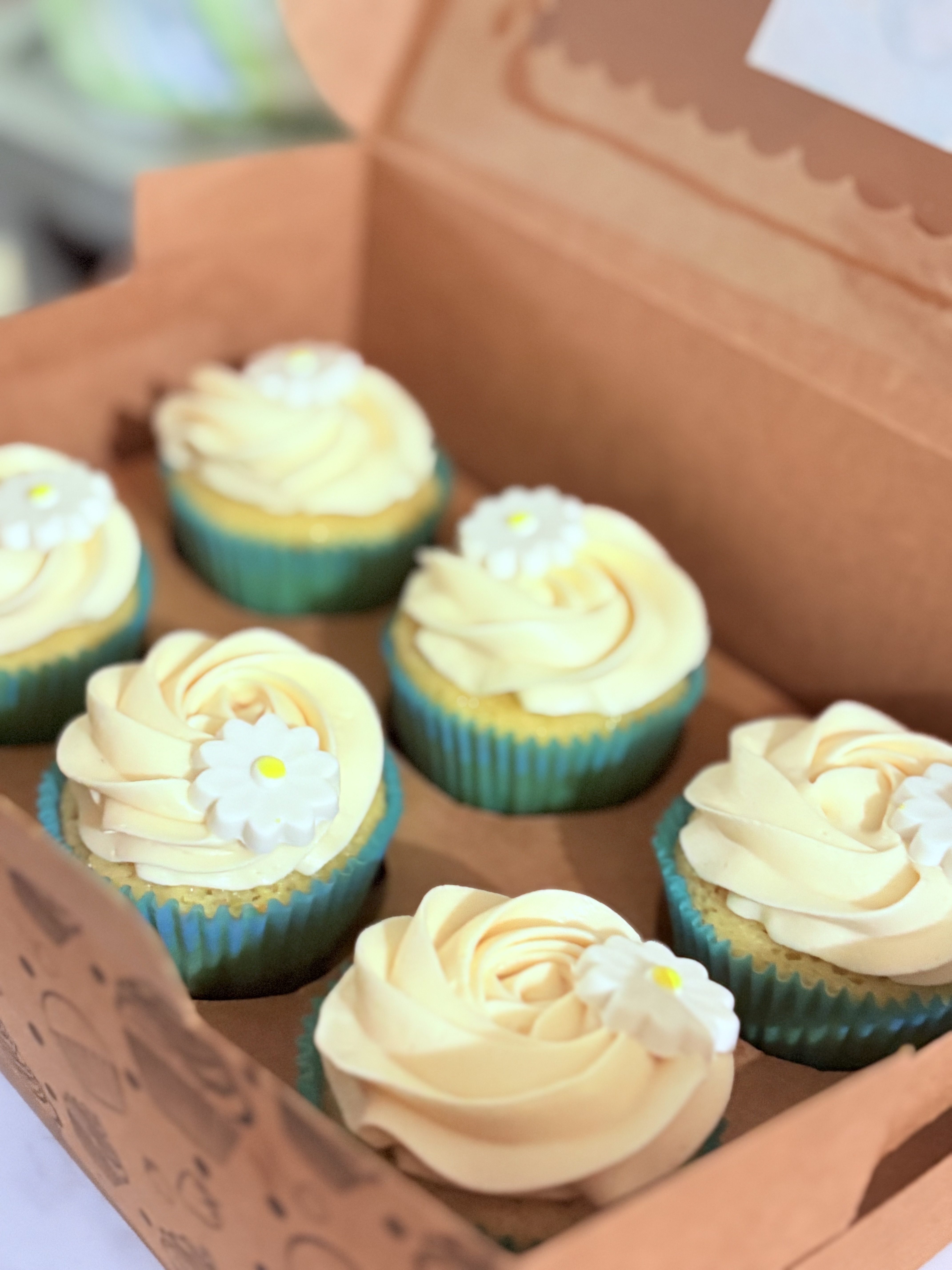 Plain Jane ( Traditional Vanilla )