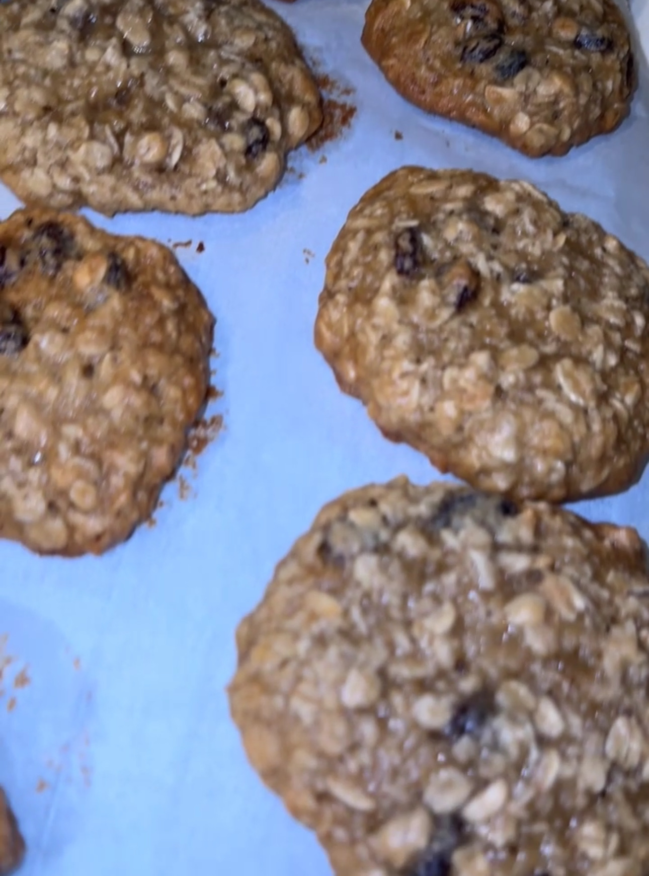 Oatmeal Raisin Cookies 