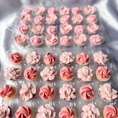 Cupcakes/Mini Cupcakes 🧁 