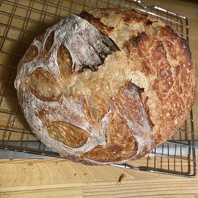 Garlic Rosemary Parmesan Sourdough 