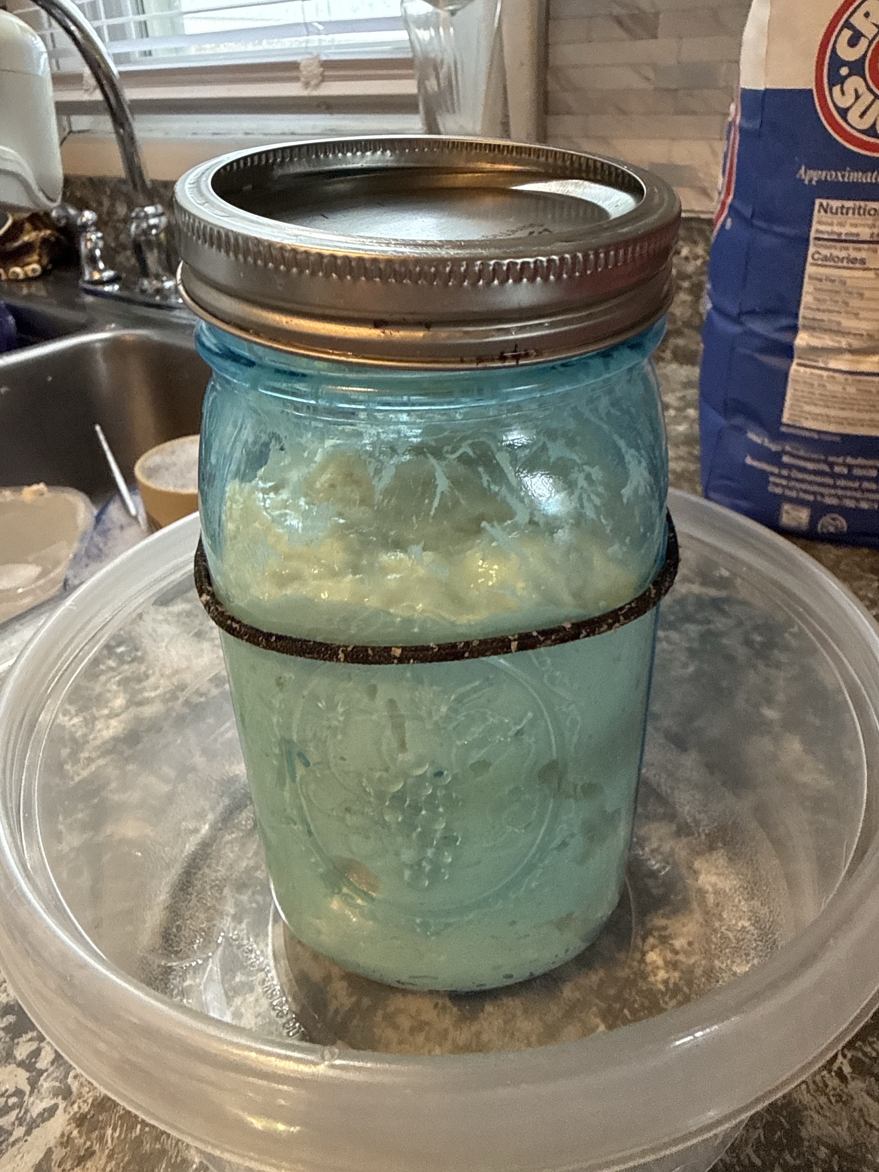 Active sourdough starter