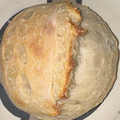Plain Sourdough Loaf 