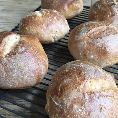 Sourdough Dinner Rolls