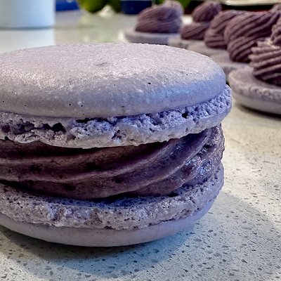 Blueberry Macaron (6)