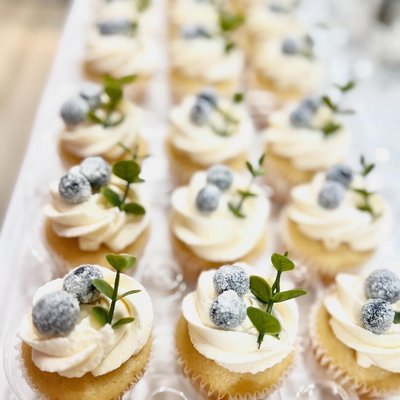 Cupcakes 