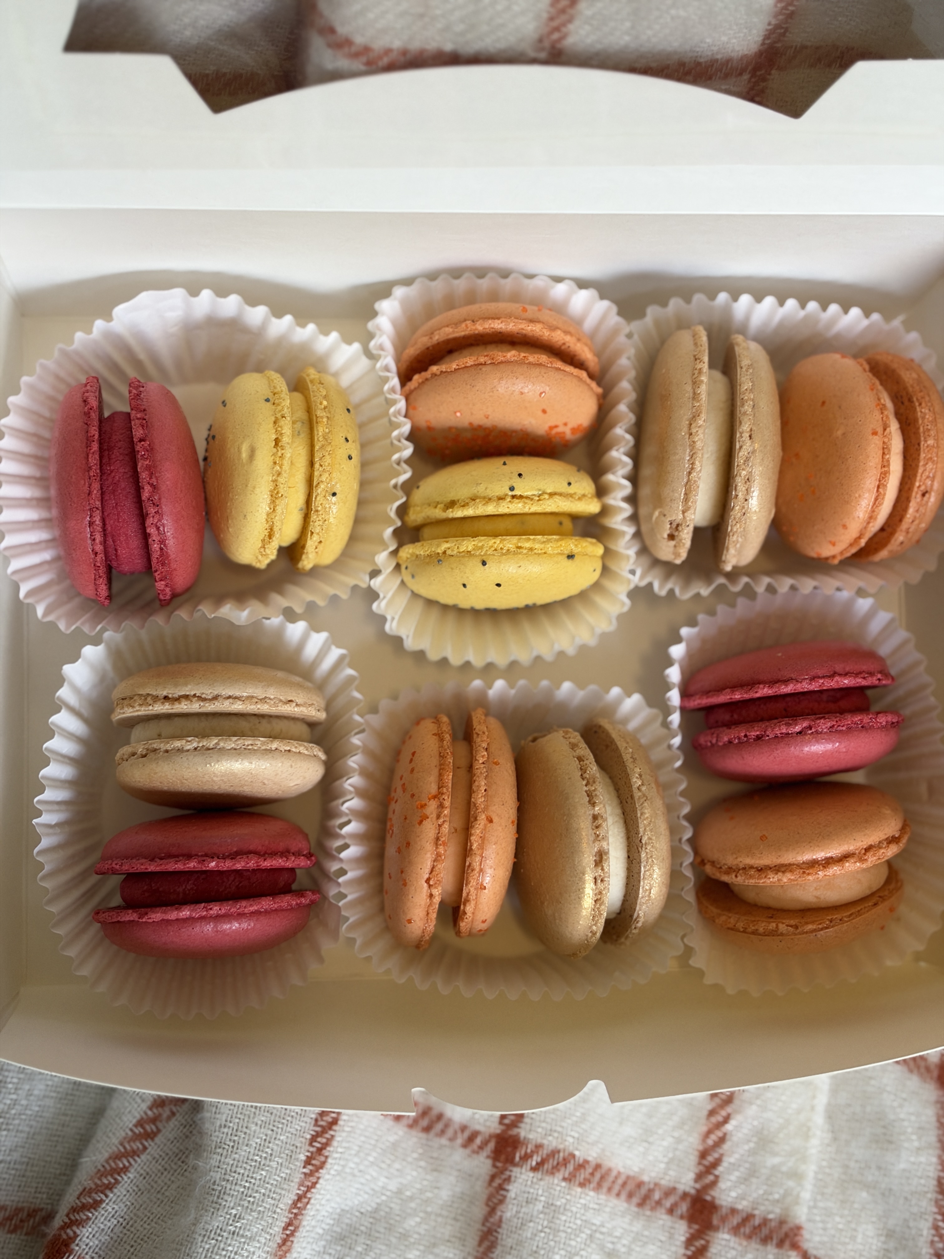Fall Macaron Box