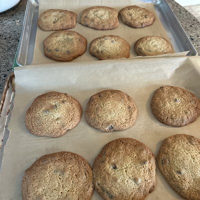 Chocolate chip cookies one dozen regular size