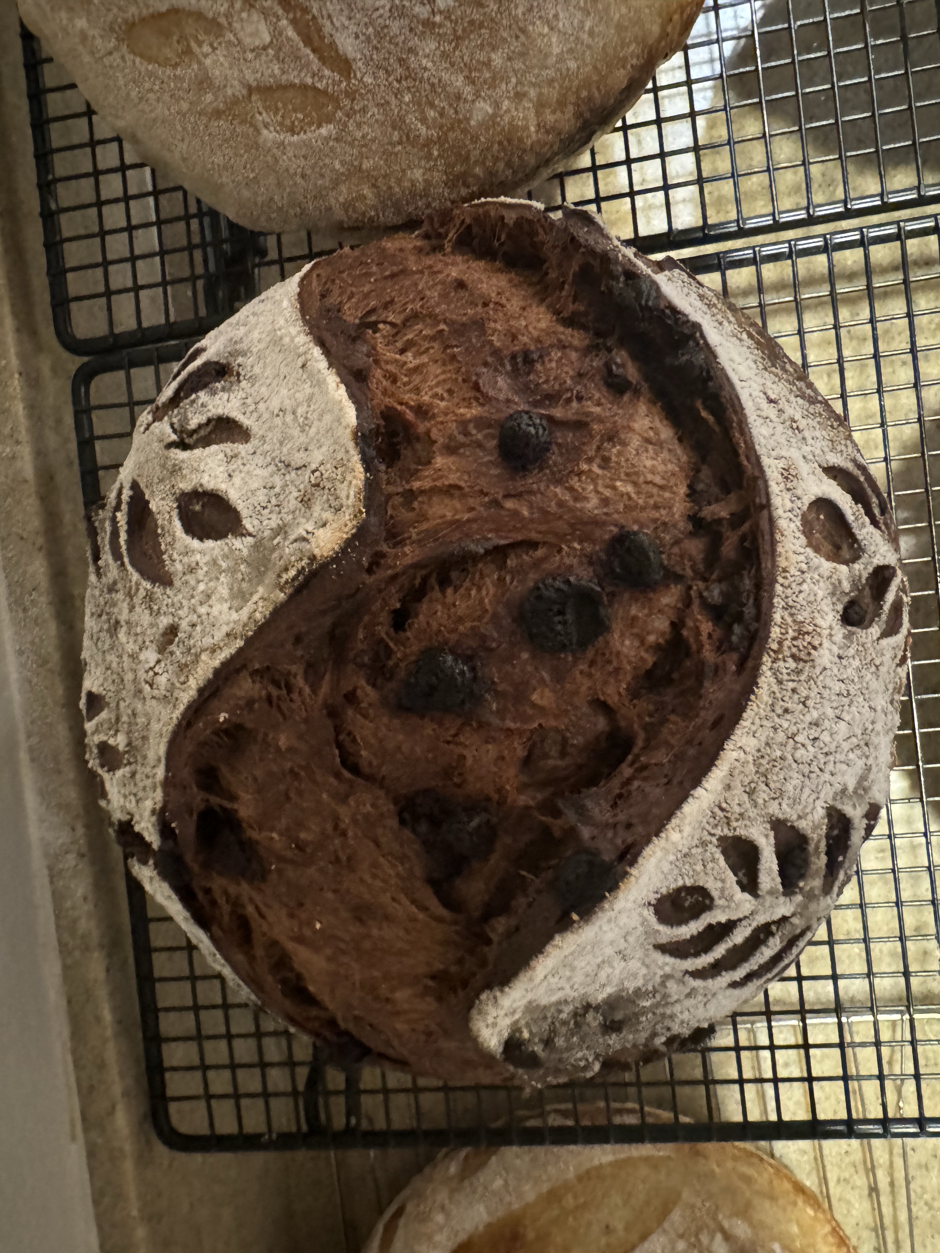 Chocolate Sourdough 