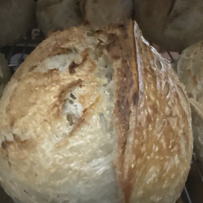 Caramelized Onion Sourdough Boule 
