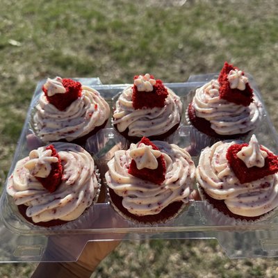 Half Dozen Cupcakes 