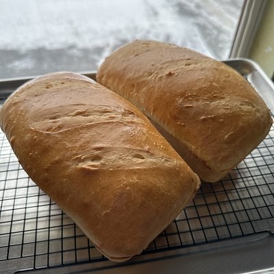 Sandwich Bread
