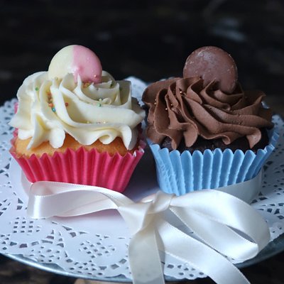 THE MIGHTY DUO vanilla & chocolate 