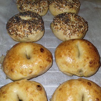 Sourdough Plain Bagels (6 Pack)