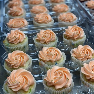 Standard Cupcakes