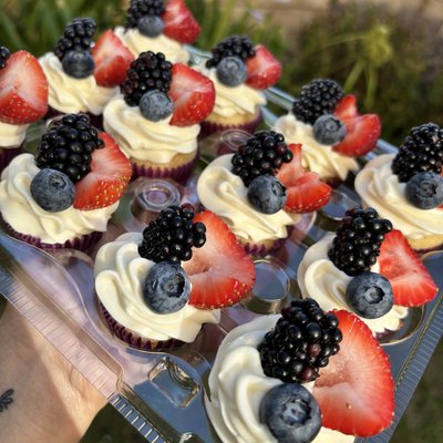 Mini Cupcakes