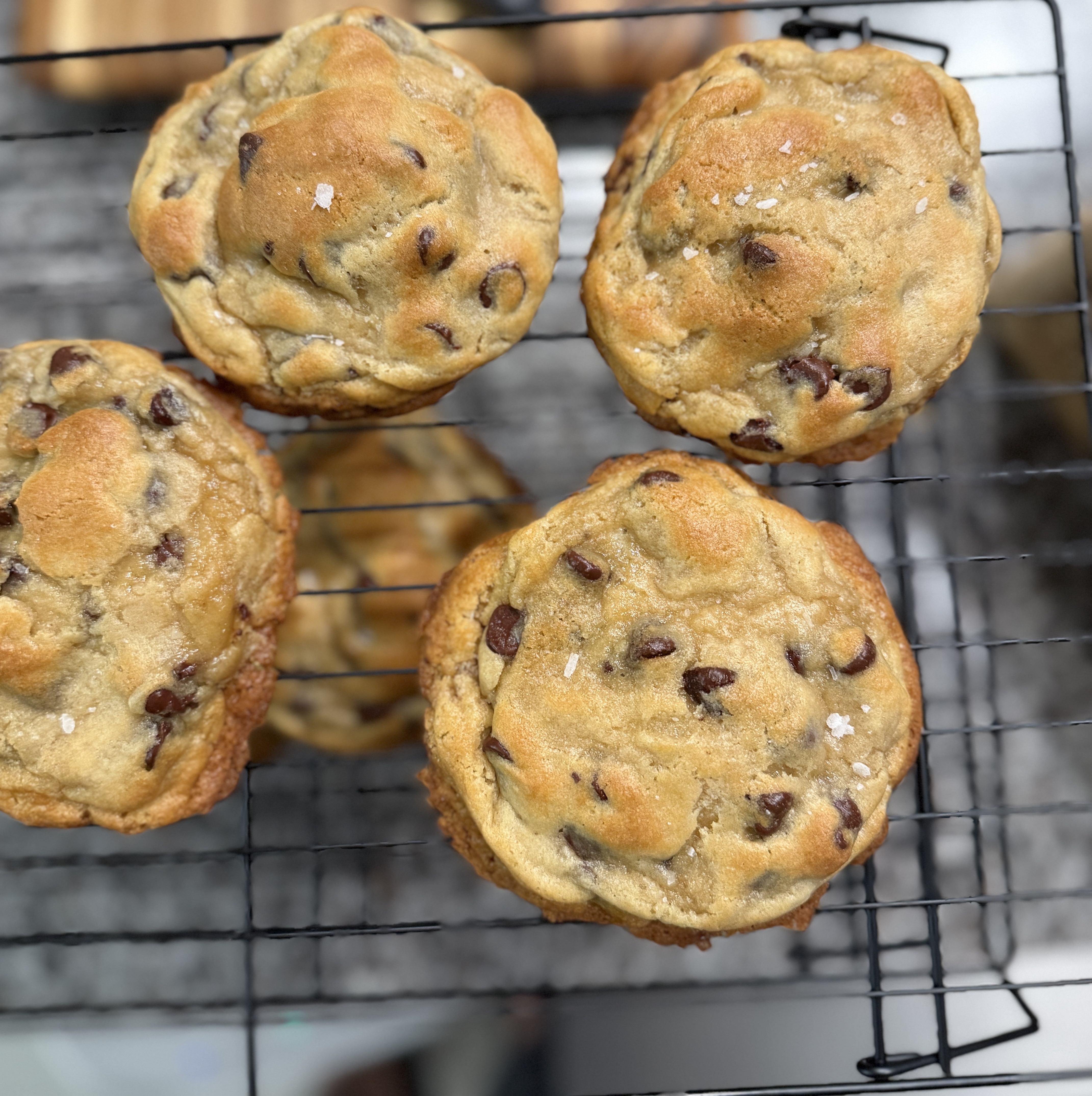 Chocolate Chip