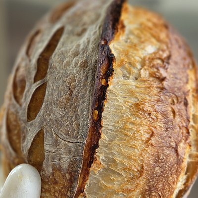 Hands-on Sourdough Class Oct 17th