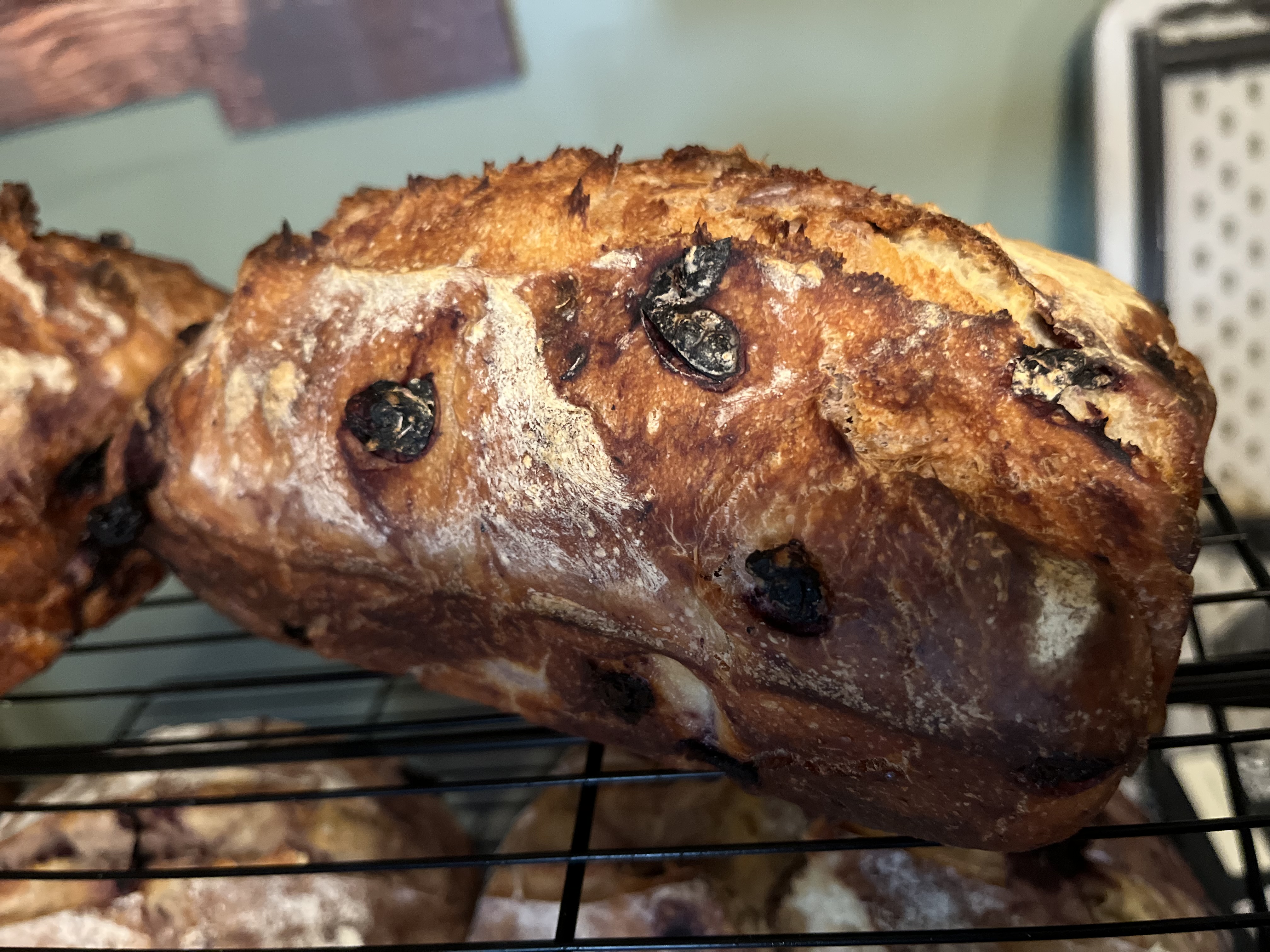 Speciality Sourdough Bread 