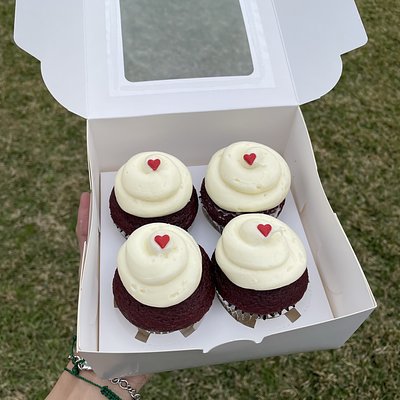 4ct Cupcakes 
