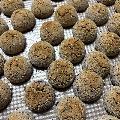 Blueberry Treats 