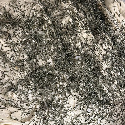 Roasted Garlic Rosemary 