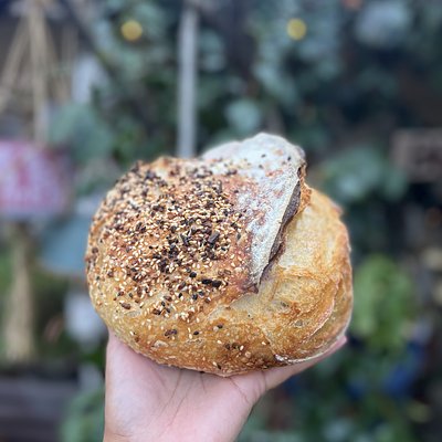 Everything Seasoning Sourdough Loaf 