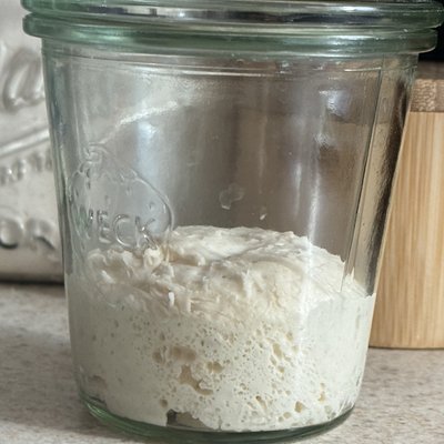 Fresh Organic Starter