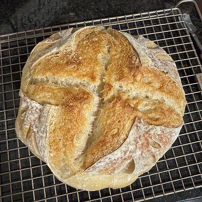 Plain Sourdough Loaf- Round 