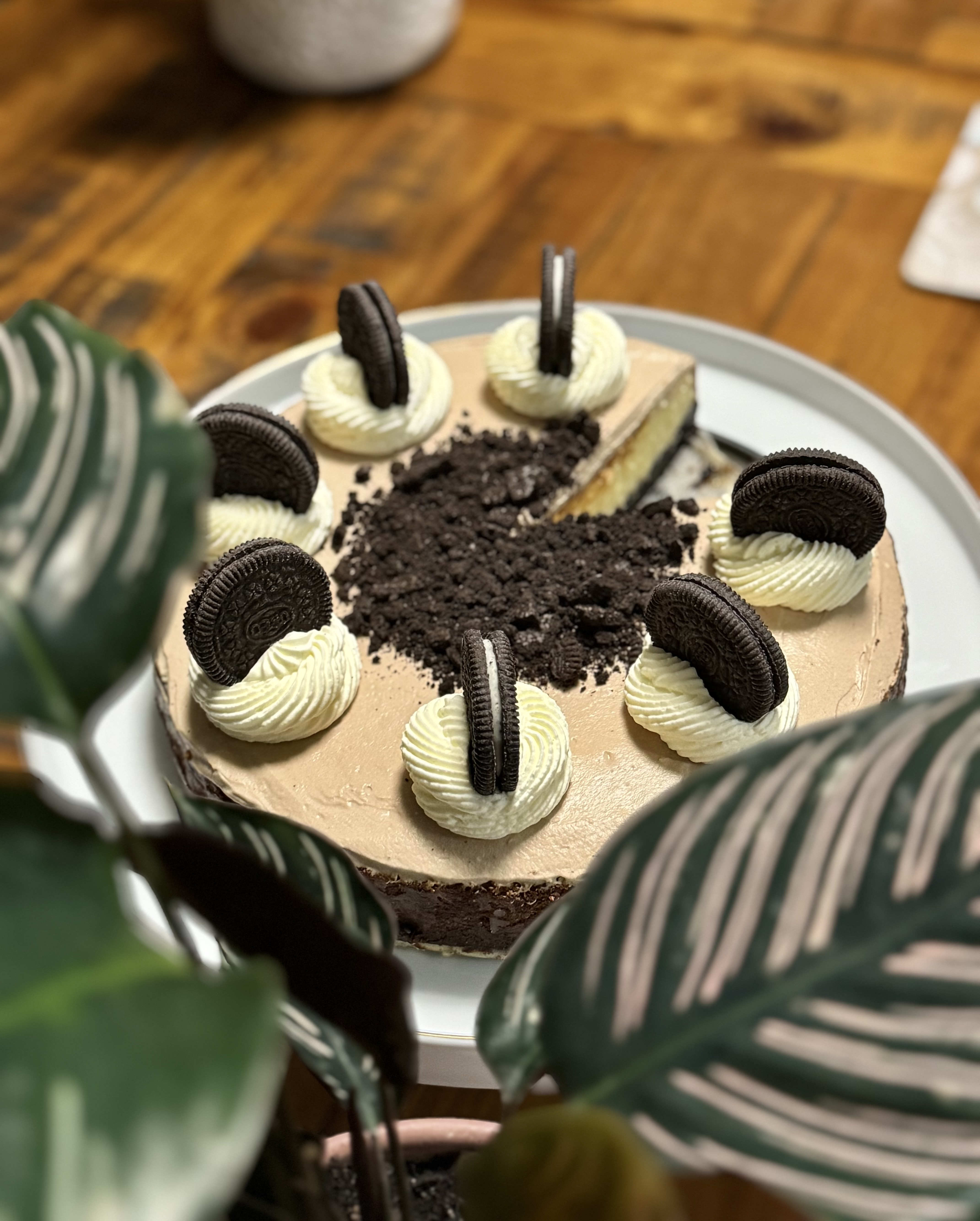Oreo Cheesecake 