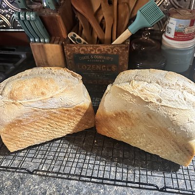 Sandwich Bread
