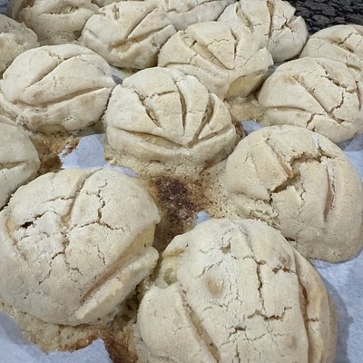 Vanilla Sourdough Conchas 8ct