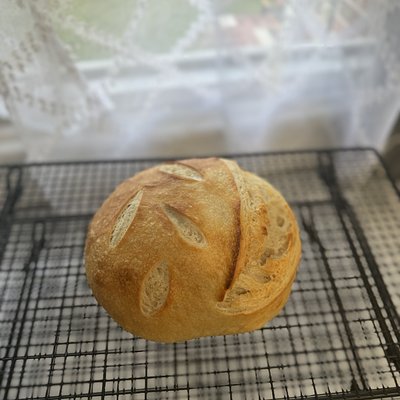 Plain Sourdough Bread 