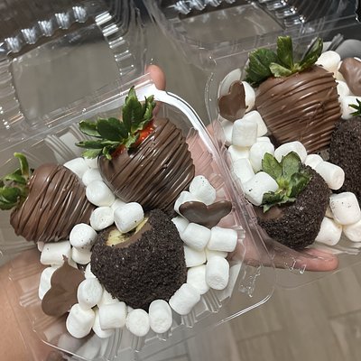 6 ct Chocolate Covered Strawberries 