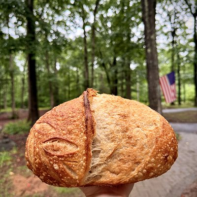 Traditional Organic Sourdough boule