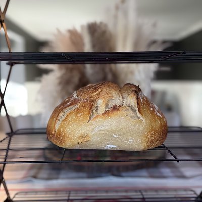 Jalapeño Cheddar Sourdough 