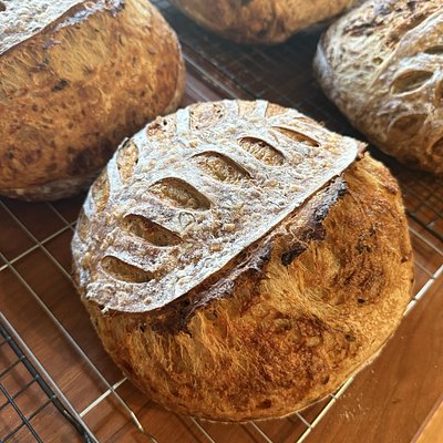 Cheddar Onion Jalapeno Sourdough 