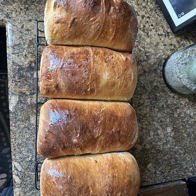 Sourdough Sandwich Loaf