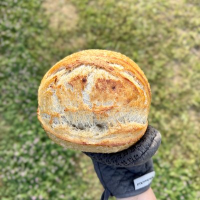Artisan Sourdough Boule 