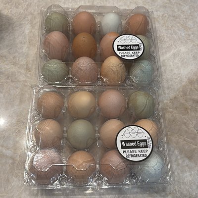 1 Dozen Eggs - Washed