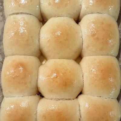 Sourdough Rolls - Dozen