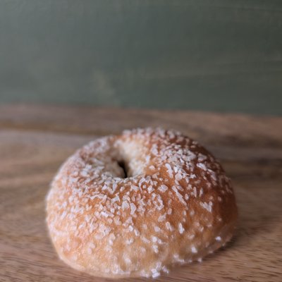 Salt Bagel