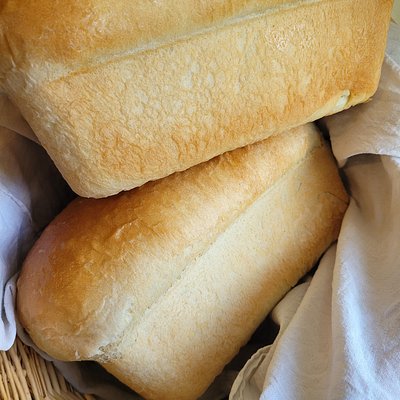 Plain Yeast Loaf