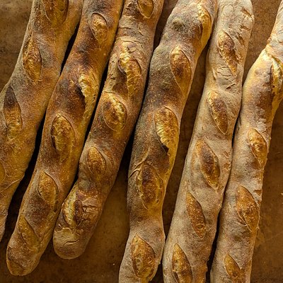 Sourdough Baguette