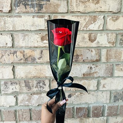 Single Red Rose 🌹 
