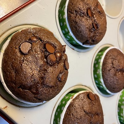 Belgian Chocolat Muffins 