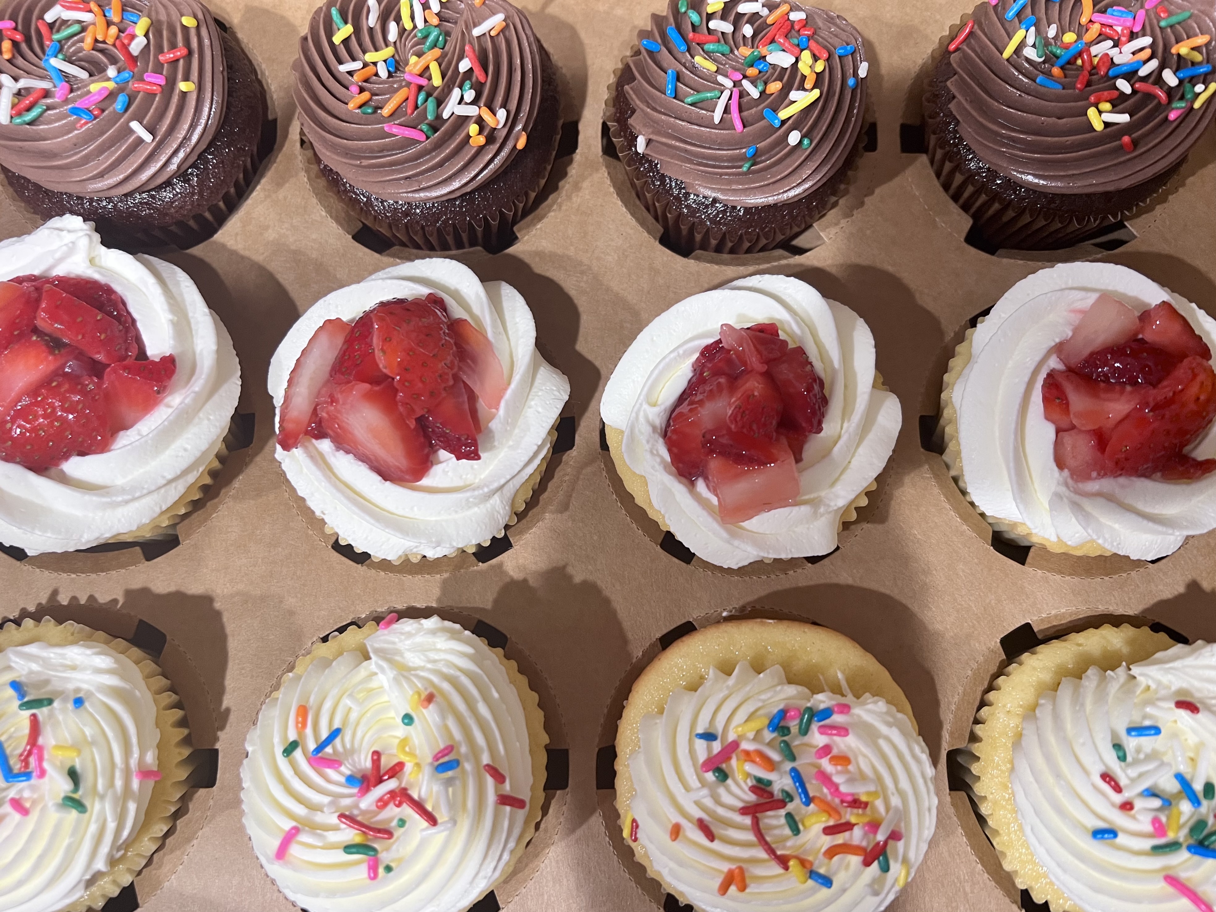 12 Cupcake Sample Box 