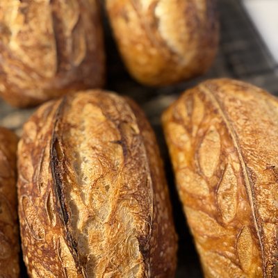 White Sourdough Bread 