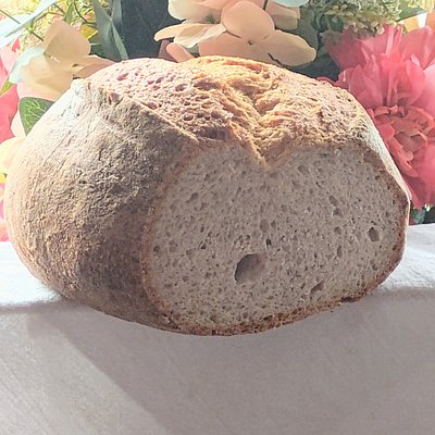 Gluten Free Sourdough 